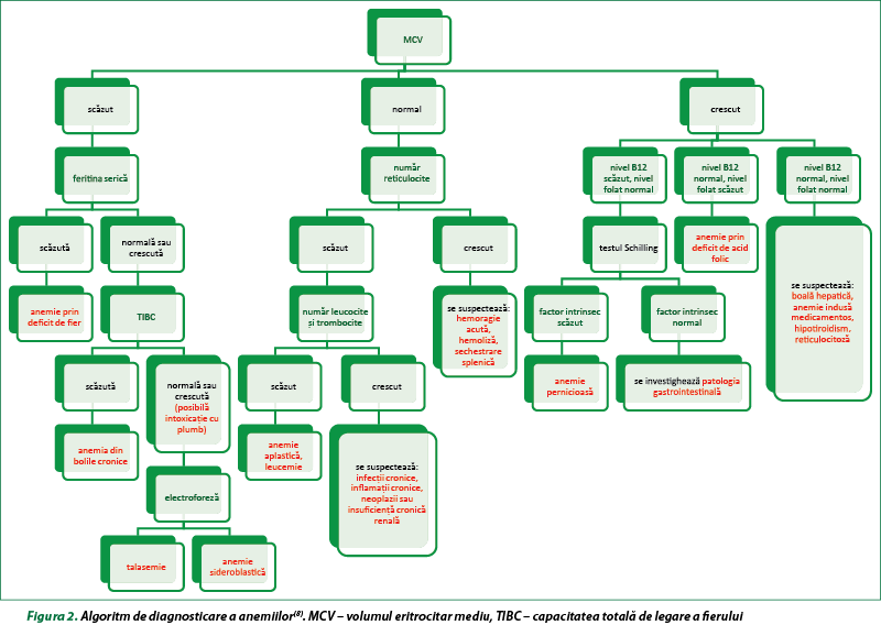 Figura 2. Algoritm de diagnosticare a anemiilor(8). MCV – volumul eritrocitar mediu, TIBC – capacitatea totală de legare a fierului