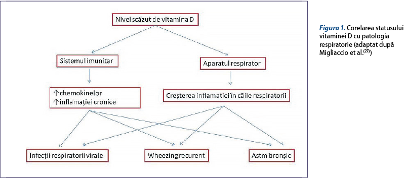 Figura 1. Corelarea statusului vitaminei D cu patologia respiratorie (adaptat după Migliaccio et al.(27))