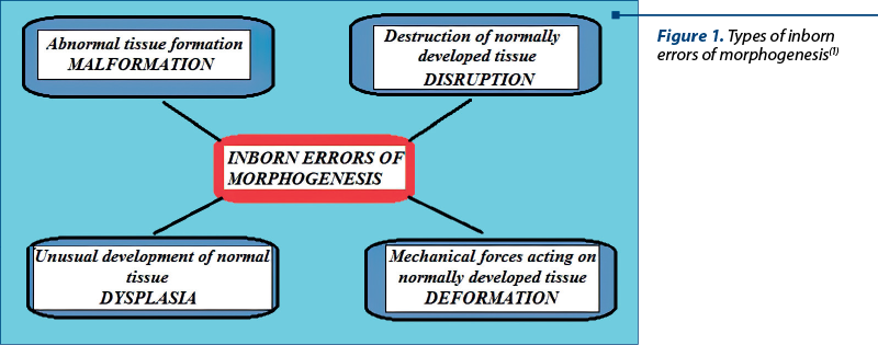 Figure 1. Types of inborn errors of morphogenesis(1)