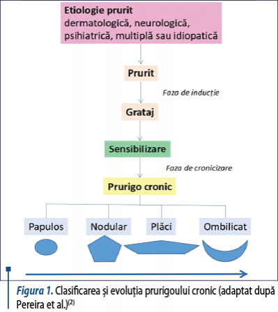 Figura 1. Clasificarea şi evoluţia prurigoului cronic (adaptat după Pereira et al.)(2)