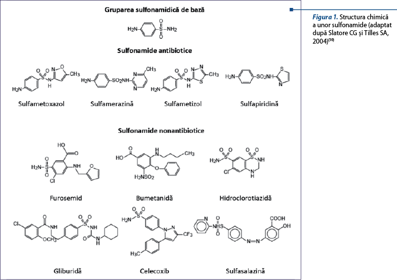 Figura 1. Structura chimică a unor sulfonamide (adaptat după Slatore CG şi Tilles SA, 2004)(10)