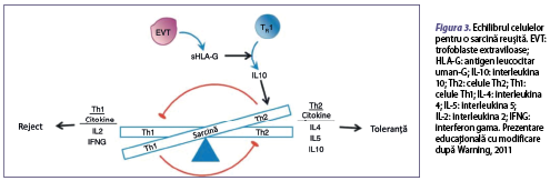 Figura 3. Echilibrul celulelor pentru o sarcină reuşită. EVT: trofoblaste extraviloase; HLA-G: antigen leucocitar uman-G; IL-10: interleukina 10; Th2: celule Th2; Th1: celule Th1; IL-4: interleukina 4; IL-5: interleukina 5; IL-2: interleukina 2; IFNG: interferon gama. Prezentare educaţională cu modificare după Warning, 2011