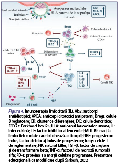 Figura 4. Imunoterapia limfocitară (IL). Ab2: anticorpi antiidiotipici; APCA: anticorpi citotoxici antipaterni; Bregs: celule B reglatoare; CD: cluster de diferenţiere; DC: celule dendritice; FOXP3: Forkhead box P3; HLA: antigenul leucocitelor umane; IL: interleukină; LIF: factor inhibitor al leucemiei; MLR-Bf: reacţia limfocitelor mixte care blochează anticorpii; PIBF: progesteron indus, factor de blocaj indus de progesteron; Tregs: celule T de reglementare; NK: natural killer; TGF-β: factor de creştere şi de transformare beta; TNF-α: factorul de necroză tumorală alfa; PD-1: proteina 1 a morţii celulare programate. Prezentare educaţională cu modificare după Sarkesh, 2022